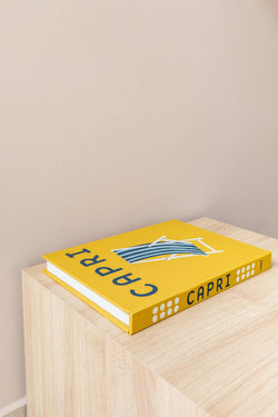 CAIXA LIVRO CAPRI Cactos da Maricota