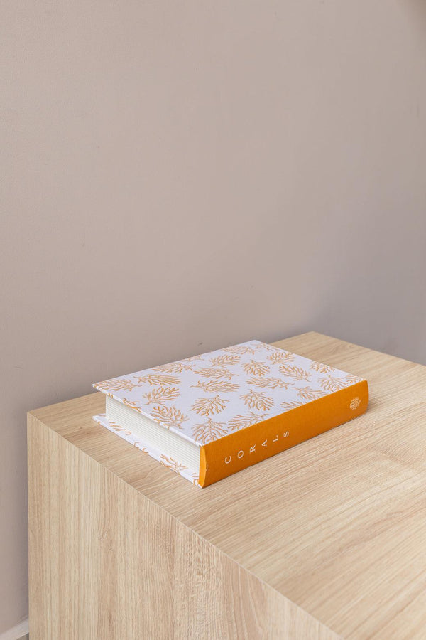 CAIXA LIVRO CORAIS MÉDIA Cactos da Maricota