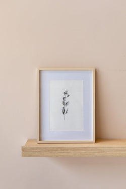 QUADRO FINE LINE 2 - EM MDF Cactos da Maricota