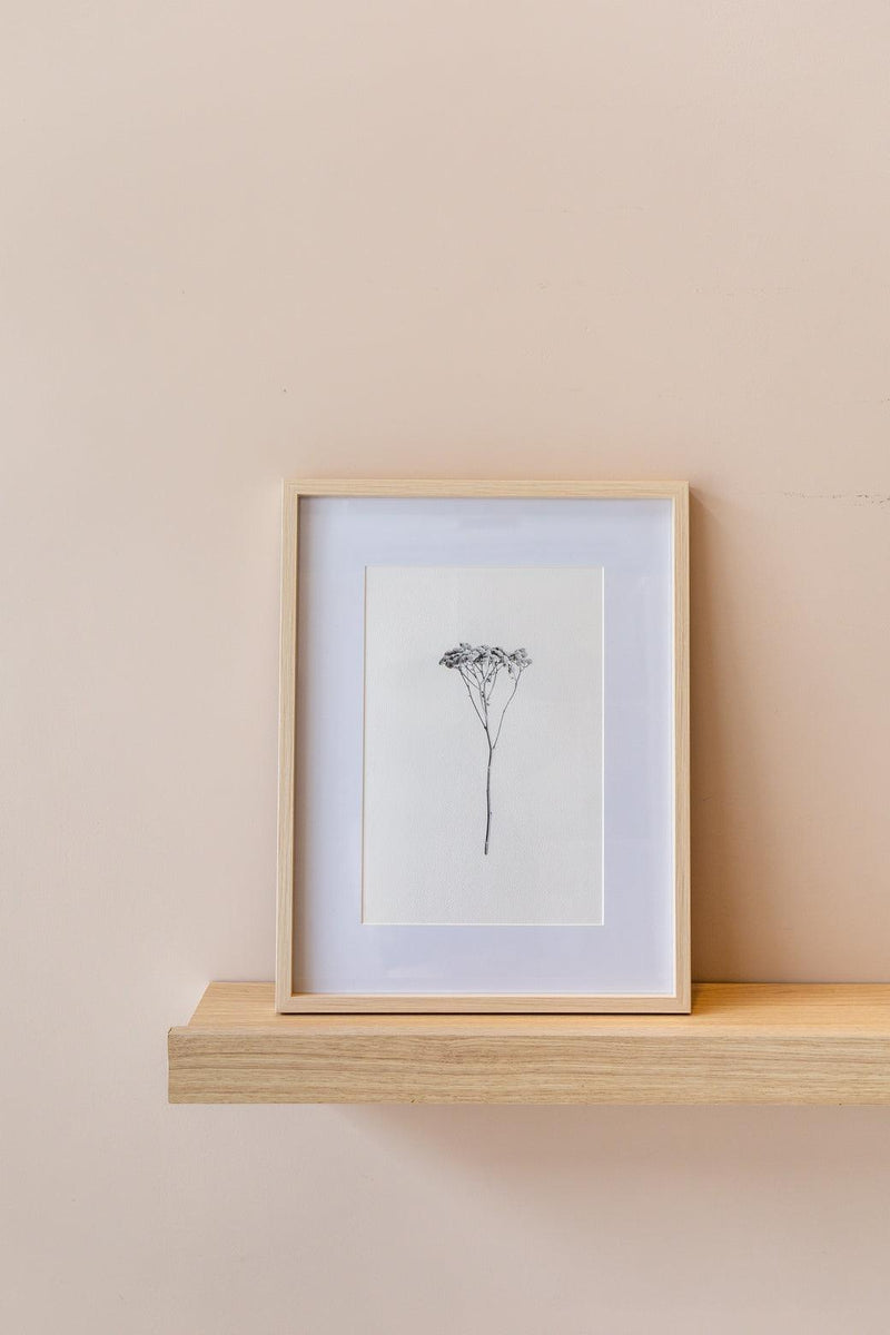 QUADRO FINE LINE 3 - EM MDF Cactos da Maricota