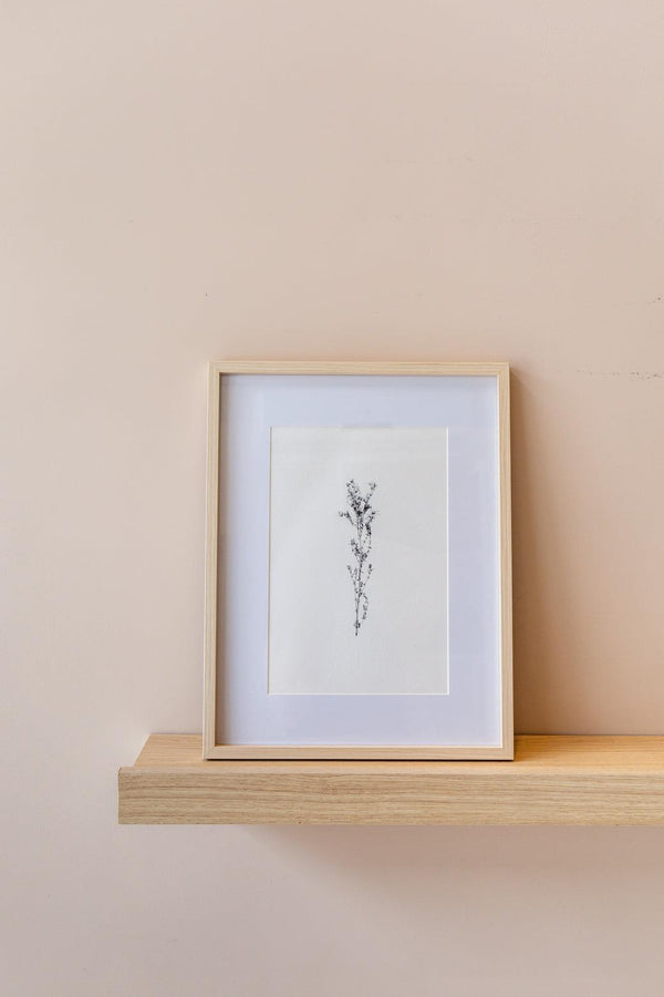 QUADRO FINE LINE 4 - EM MDF Cactos da Maricota