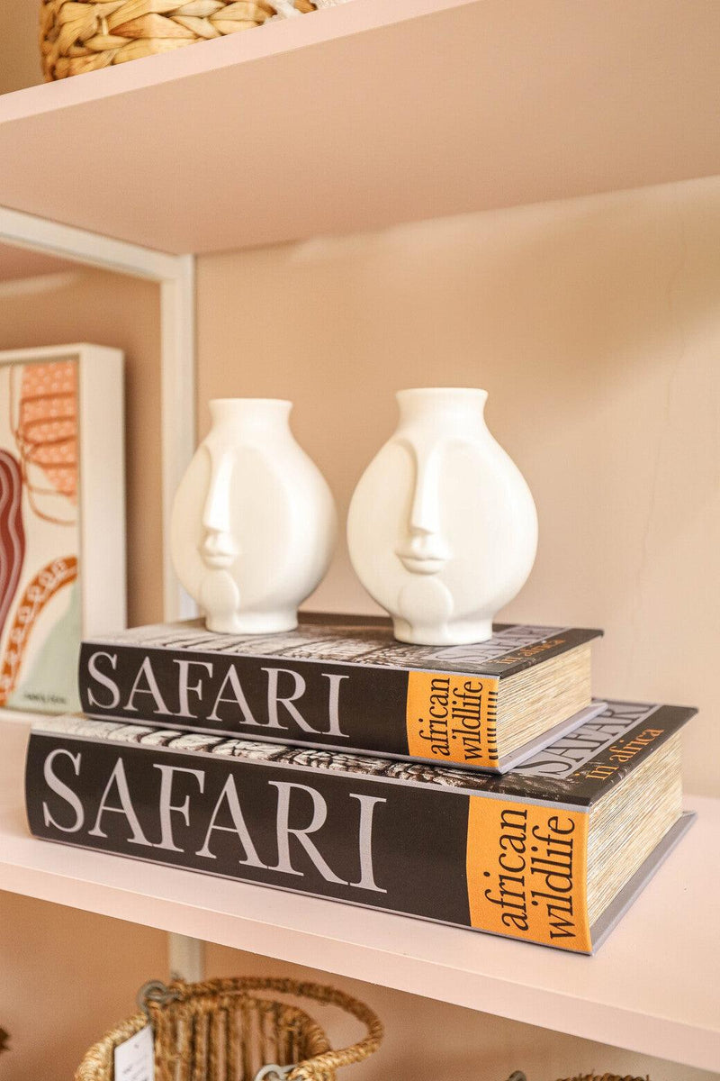 CAIXA LIVRO SAFARI MÉDIA Cactos da Maricota
