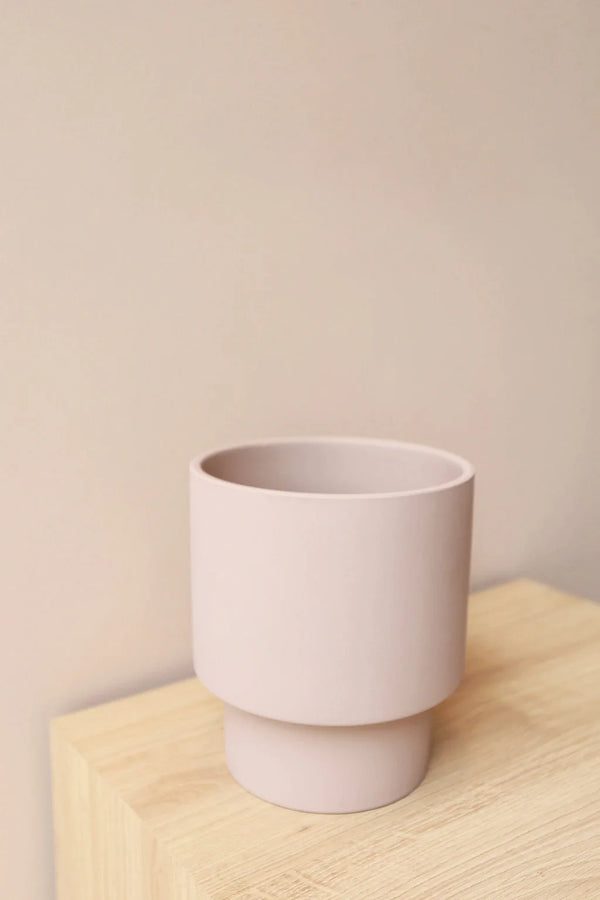 CACHEPOT ELEGANT FENDI MÉDIO Cactos da Maricota